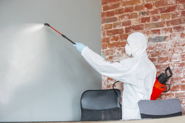 Best Dehumidification Services  in Dayton, OH