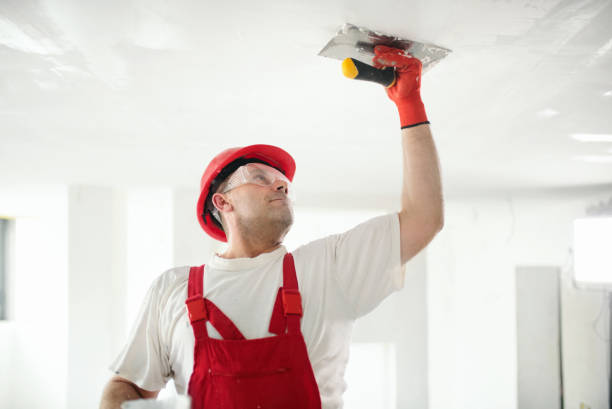 Best Mold Remediation for Healthcare Facilities  in Dayton, OH