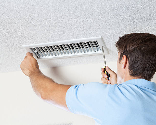 Best Biohazard Mold Removal  in Dayton, OH